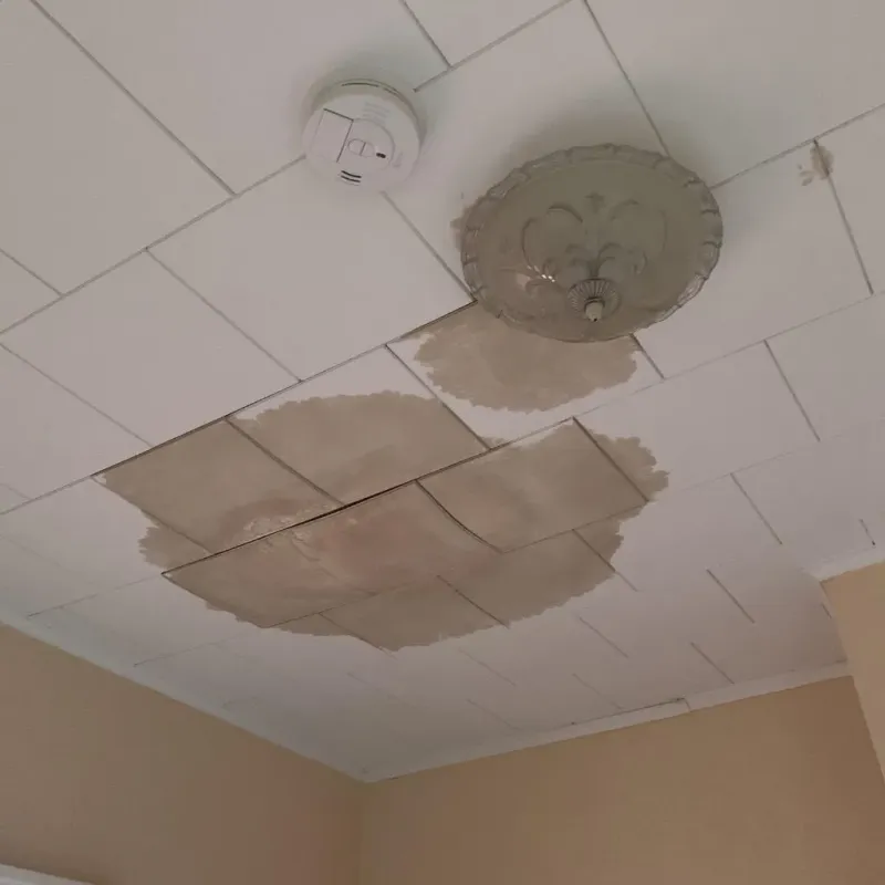 Ceiling Water Damage Repair in Chisago County, MN