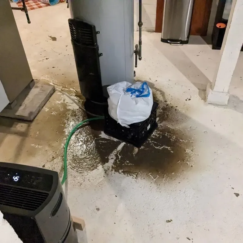 Sewage Backup Cleanup Service in Chisago County, MN